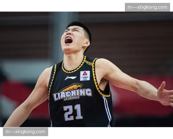 辽宁本钢付豪20分8板，空间型四号位拉开进攻空间价值